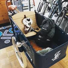 Ready For A Ride With No Effort Jojo I Like To Move It Ebikes4you Lastenrad Johnnyloco Ebike Cargobike Cool Ride Riding Ebike Cargo Bike