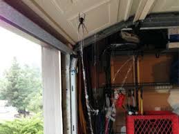 Some people in florida (somehow, i don't know how) keep black snakes in their yard. How To Kill A Black Widow Spider Best Tips And Products That Work
