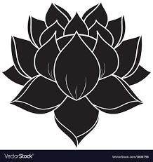 Bildergebnis Fur Lotus Flower Vector Lotus Flower Art Lotus Art Lotus Flower Drawing