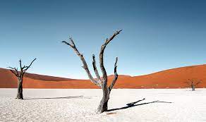 The photography guide to sossusvlei. Tagliche Abfahrt 3 Tage Sossusvlei Shuttle Safari Namibia Focus