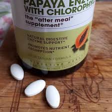 American Health Proteolytic Enzyme Papaya Chlorophyll