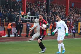 Fatih karagümrük a takım kadrosu. Fatih Karagumruk Sk On Twitter Zekiyildirim