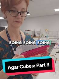 Agar Phenolphtalein Block