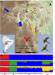 And i still felt like i needed to take a bath throughout. Fine Scale Genetic Structure In The Critically Endangered Red Fronted Macaw In The Absence Of Geographic And Ecological Barriers Scientific Reports
