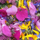 Make your Own Tea Pot! Herbal Tea Weekend Retreat