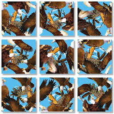 Mission to mars unit | nasa/jpl edu educator. Bald Eagles 9 Pieces Scramble Squares Puzzle Warehouse