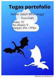 Tugas portofolio ipa kelas 9. Tugas Portofolio Ipa Ppkn Flip Ebook Pages 1 4 Anyflip Anyflip