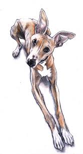 Custom Pet Portrait Of Oliver Whippet Https Www Youtube Com Watch V Nr1i5htn90y Dog Art Dog Paintings Dog Face Drawing
