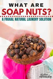 Soap Nuts Review My Favorite Natural Laundry Soap Wondering How Natural Laundry Soap Nuts Work Learn H Soap Nuts Laundry Soap Homemade Natural Laundry Soap