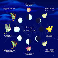 A Flutter Starlight Journey Lunar Moths Cycle How To Get