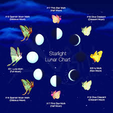 a flutter starlight journey lunar moths cycle how to get