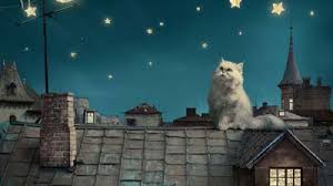 Check spelling or type a new query. Cat Wallpapers Cute Kitten Wallpaper Cat Cartoon Wallpaper