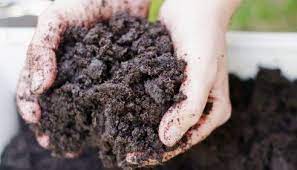 Antidepressant Microbes In Soil How Dirt Makes You Happy Garden Soil Preparation Garden Soil Soil Improvement