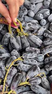 Khung giờ nhộn nhịp nhất ở chợ nổi cần thơ là từ 5:30 đến 8:00 sáng. Trai Cay Huá»‡ Chi Home Facebook