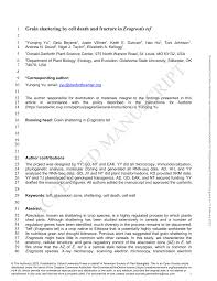 Image result for Eragrostis botryodes