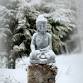 Sunday Sangha  — Lehigh Valley Buddhist Group event image
