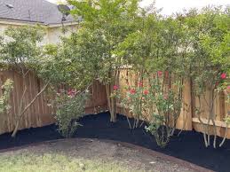 15101 savannah heights dr austin tx 78717 realtor com. Mulching In North Austin Cedar Park Leander Tx