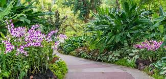 Check spelling or type a new query. Orchideen Fur Den Garten