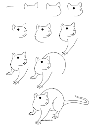 Drawing Rat