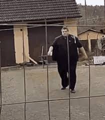 Make your own images with our meme generator or animated gif maker. Drachenlord Gifs Tenor