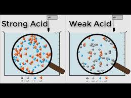 Acces pdf phet lab answer key for ph scale change. Acids Youtube