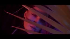 Serena Safari Avicii Songs English Music Instagram Englishsongs Awesome Lyrics Musicvideo Songs Picture Beautiful Songs Instagram Avicii