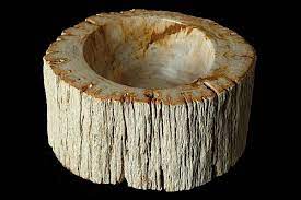 We did not find results for: Petrified Wood Bowl Indonesia