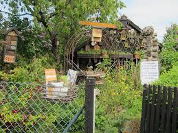 Mein Naturgarten Der Kleingarten Als Biotop