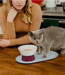 Elevated No Tip Cat Food Bowl Mesa Bowl Cat Person In 2020 Cat Food Bowl Food Bowl Cat Food Brands