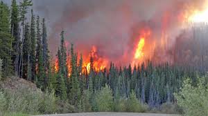 Message important du service de sécurité incendie et de la sopfeu. Feux De Forets Situation Critique Dans Plusieurs Provinces Tva Nouvelles