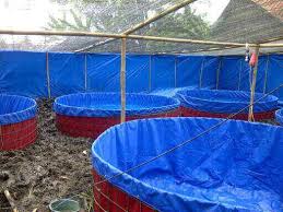 Daftar Harga Kolam Terpal Terbaru Di 2020 Kolam Akuarium Hiasan