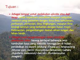 Aktivitas wisata yang bisa dilakukan antara lain berkeliling hutan mangrove baik menggunakan perahu atau berjalan. Permohonan Kawasan Hutan Dengan Tujuan Khusus Khdtk Untuk Ppt Download