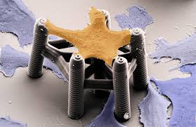 Neu mit 2, 3, 4, 5, 6, 7, 8 buchstaben Kit Fachbereich Arbeitsgruppen Zoologisches Institut