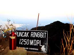 Di kamar adikku, lampu masih terang karena dia memang tidak berani tidur dalam kegelapan. Gunung Ringgit Situbondo Surganya Pendakian Jalur Ekstrem