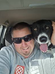 Who does quick turnaround shock services in Adelaide?