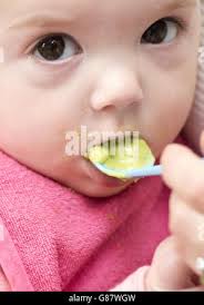 Charlotte Devlin, 6 mois, mange de la purée pendant le sevrage Photo Stock 