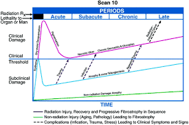 Check flight prices and hotel availability for your visit. Breast Cancer Springerlink