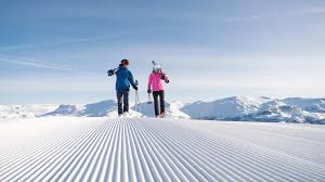 All information about the ski resort hemsedal, test report, trail map, video, elevation info, ski slopes, ski lifts, ski pass prices, towns/villages: Skistar Hemsedal