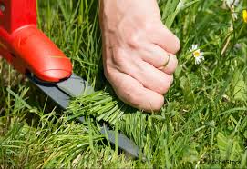 Chaque caillou est soigneusement sélectionné, puis la conception est coupée et sculptée dans la pierre. Glyphosate Des Alternatives Bio Pour Desherber Au Naturel