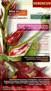 Pin On Amazing Herbs
