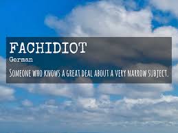 Fachidiot Fancy Words Words Words To Use
