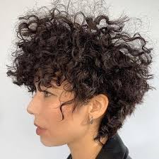 Structured curls are guaranteed to look really trendy and unusual. Top 10 Best Curly Haircuts Of 2019 Naturallycurly Com