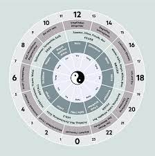 In der organuhr gehören diese 2 stunden dem herzbeutel, einer bindegewebsartigen hülle, die das herz umschliesst. Organuhr So Profitierst Du Im Alltag Von Der Organuhr Das Grosse Deutsche Bach Bluten Portal