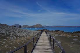 Tomando en consideración que es. Viajar A Las Islas Galapagos Por Tu Cuenta Los Mejores Tours Playas Y Lugares De Interes De Las Islas Encantadas Randomtrip