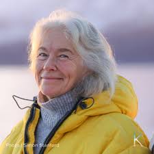 29. An Arctic Update