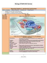 Focus your biology eoc review. Biology Staar Eoc Review Study Guide Dna Replication Cell Biology