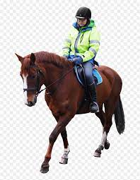 Barrel racing is a sport where the rider rides the horse in a pattern around three barrels. Horse Riding Person Riding Horse Png Transparent Png Vhv
