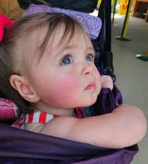 Miss Oakleigh wins cheap elim