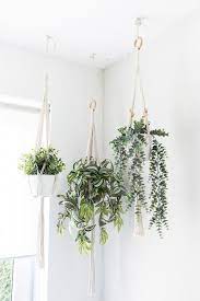 Plant Decor Kids Room Ideas Bedroomplants Hanging Plants Indoor Hanging Plants Hanging Indoor Plants