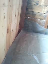 Gartenhaus Feuchtigkeitssperre Boden